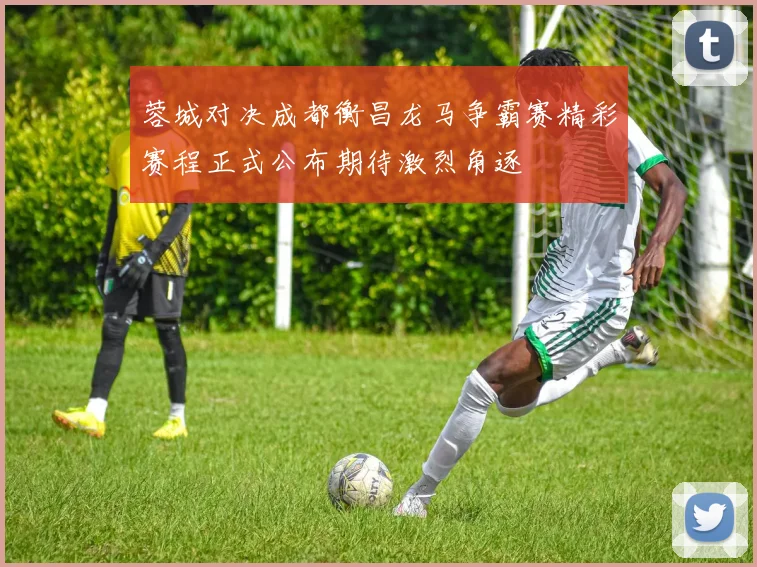 蓉城对决成都衡昌龙马争霸赛精彩赛程正式公布期待激烈角逐
