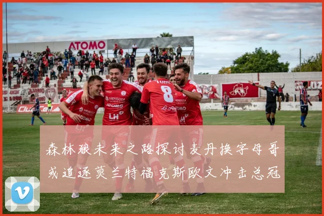 森林狼未来之路探讨麦丹换字母哥或追逐莫兰特福克斯欧文冲击总冠军